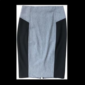 Express Pencil Skirt